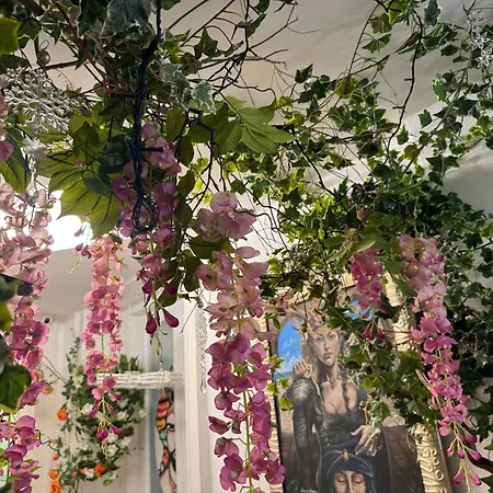 לינה וארוחת בוקר I Mori קטאניה